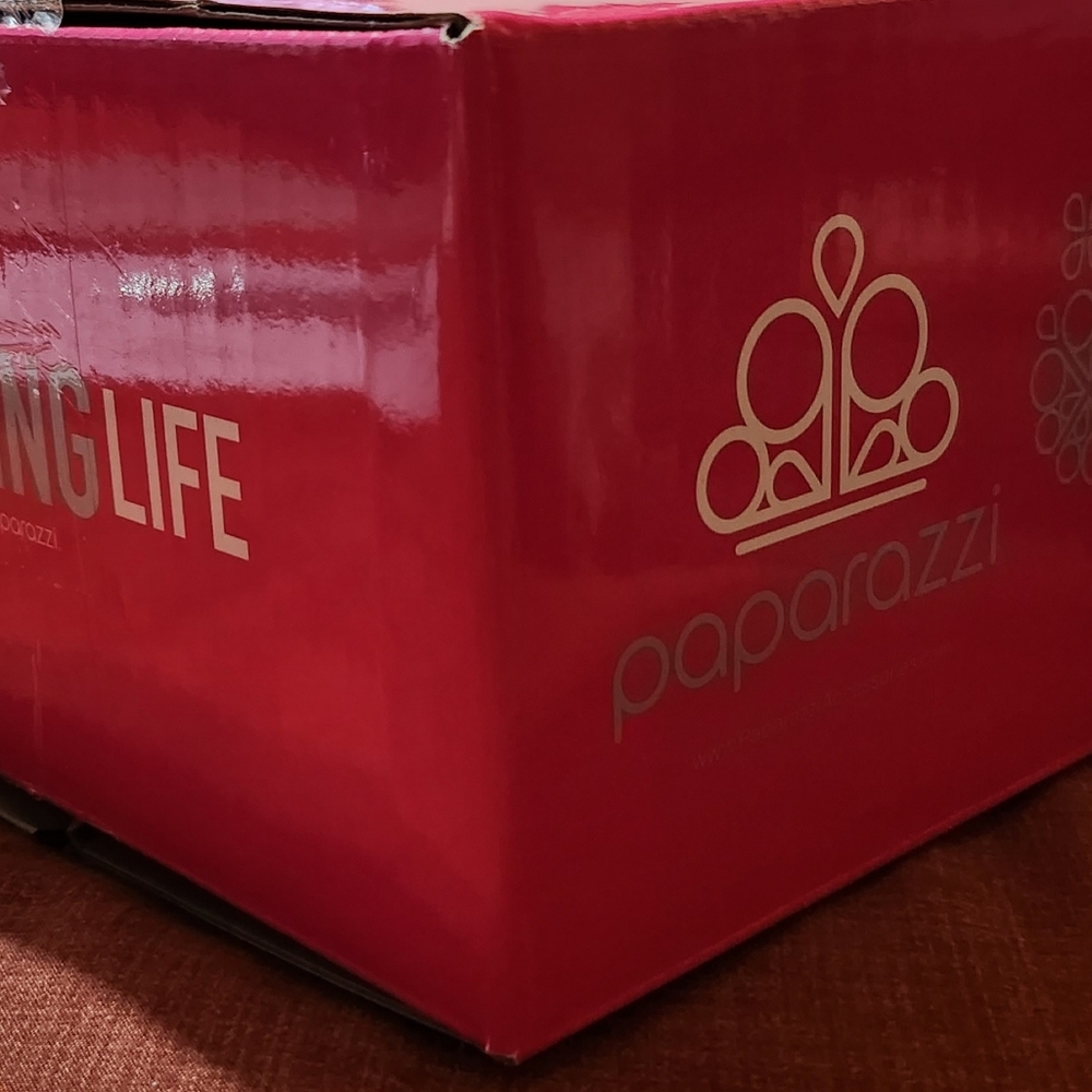 Paparazzi MYSTERY 📦!